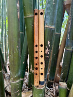 Small Major and Small Minor Flute Set