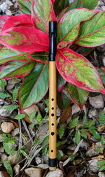 The Mid-Eastern Flute Collection