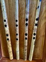 My Egyptian Clarinet