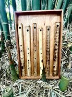 Side Blown Flute: The Genesis Nature Flute