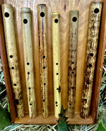 Side Blown Flute: The Genesis Nature Flute