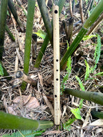 My New Nature Flute
