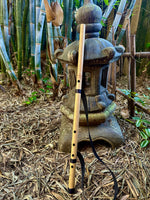 The Kung Fu Flute