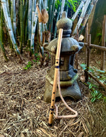 The Kung Fu Flute