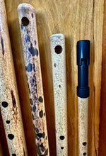 The Mid-Eastern Flute Collection