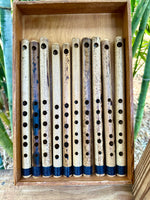 Small Major and Small Minor Flute Set