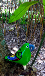 Parrot