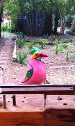 Pink Picasso