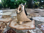 Bird Whistles
