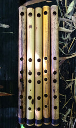 SIDE BLOWN FLUTE Chinese Bamboo Body