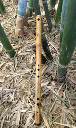 SIDE BLOWN FLUTE Meditation Flute Bamboo Body