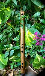 The Ancient Flute Set